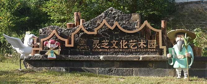 海南儋州靈芝園IP卡通合作案例